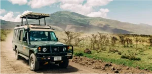 Read more about the article Preserving the Wild: Conservation Efforts at Nauradehi