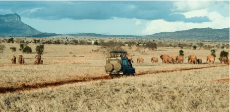 Read more about the article Preserving the Wild: Conservation Efforts at Nauradehi